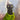 Painting an animal portrait step by step with Gouache Studio