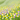 Spring Bundles - Create your spring